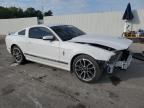 Lot #3293499419 2014 FORD MUSTANG