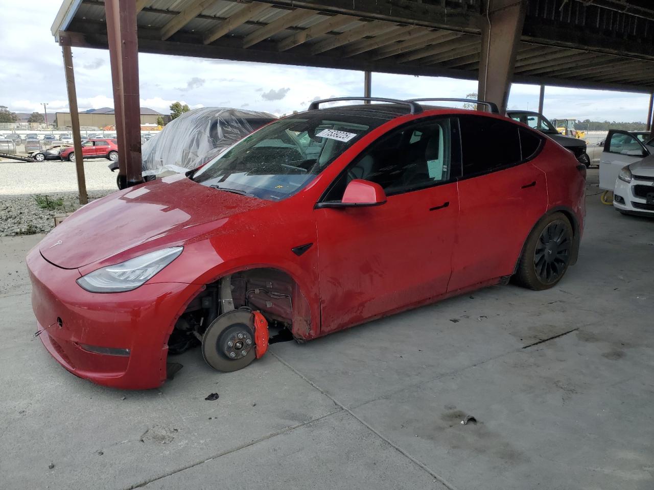 TESLA MODEL Y