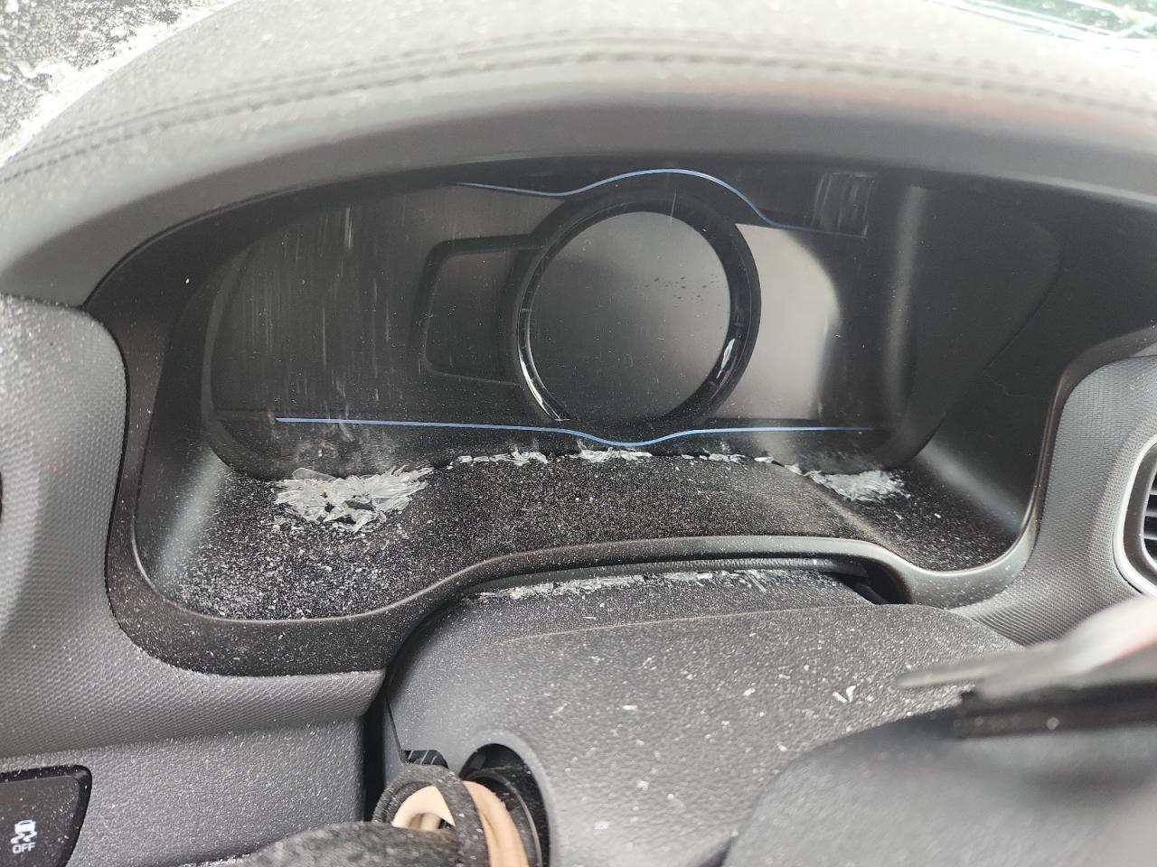 Lot #3318156363 2019 HYUNDAI IONIQ LIMI