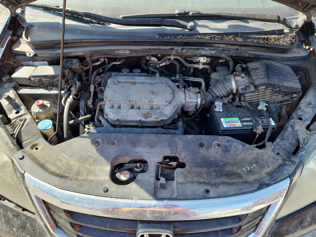 Lot #3253836556 2010 HONDA ODYSSEY EXL