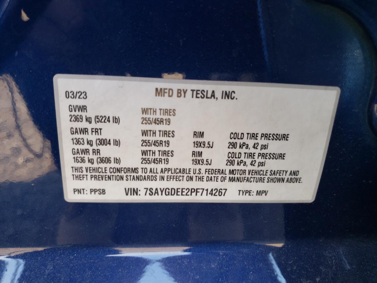 TESLA MODEL Y