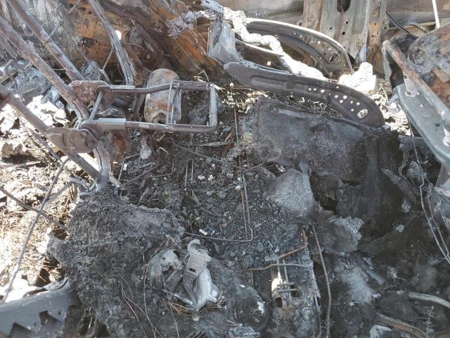 2024 KIA NIRO WIND #3285728665