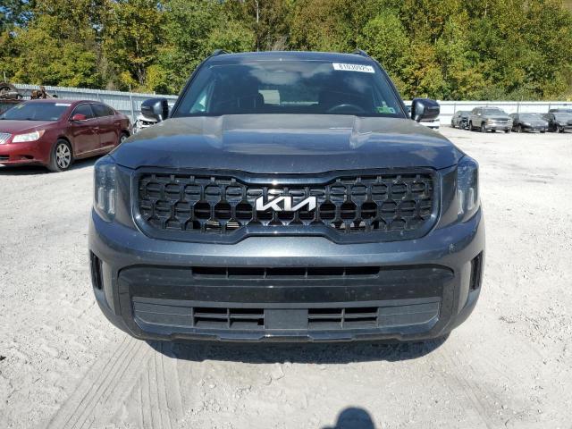2024 KIA TELLURIDE EX - 5XYP3DGC5RG423452