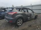 Lot #3303841513 2015 FORD ESCAPE SE