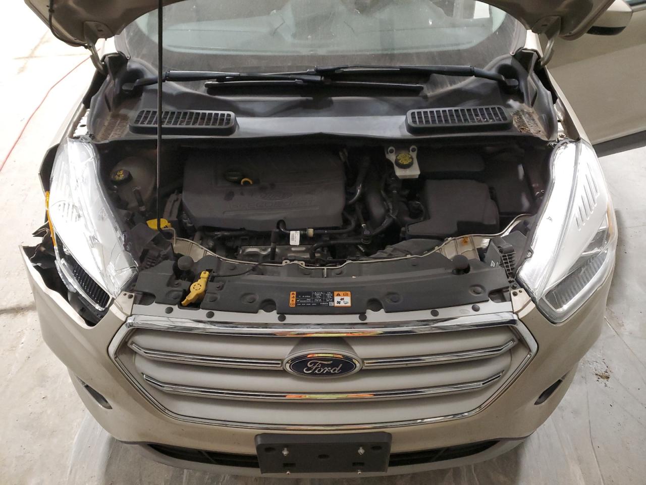 FORD ESCAPE SEL