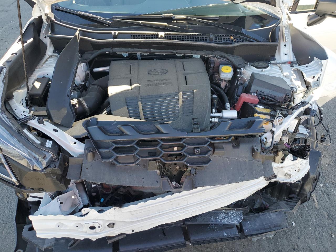 SUBARU FORESTER WILDERNESS