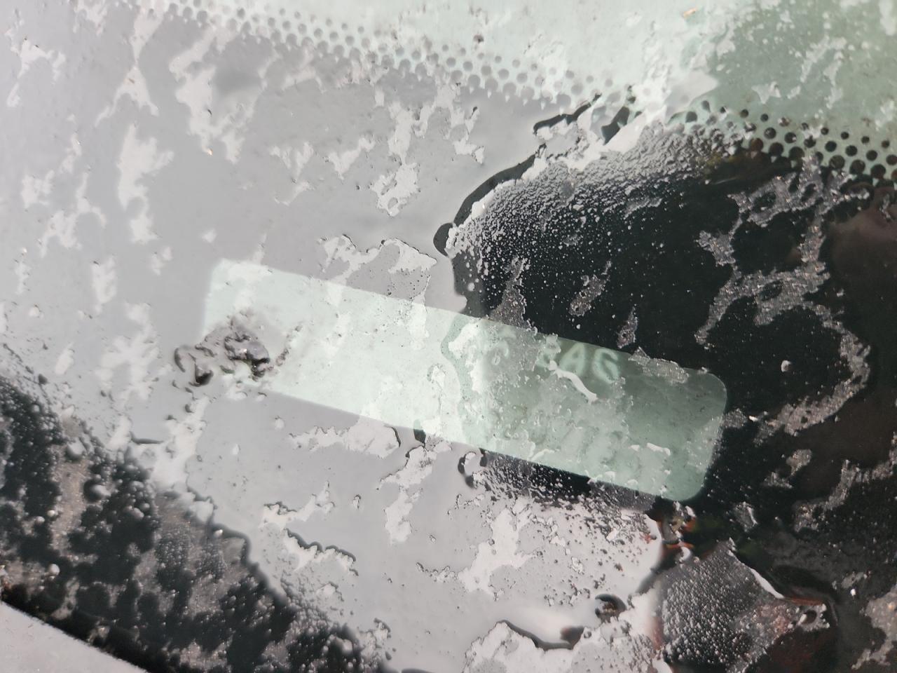 Lot #3283975805 2006 FORD MUSTANG