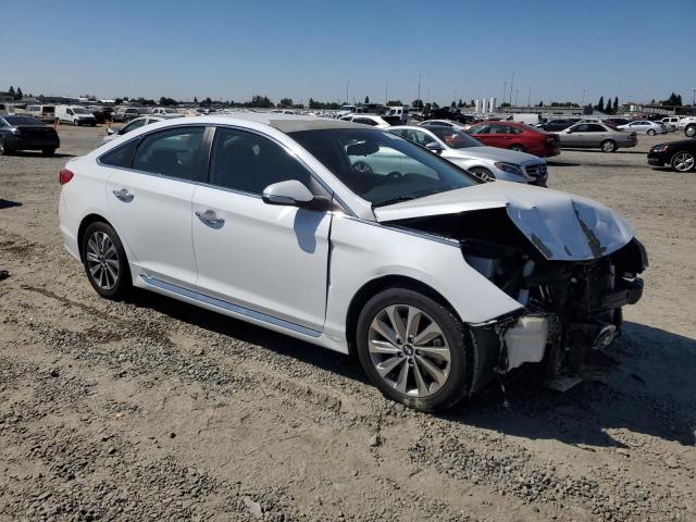 2016 HYUNDAI SONATA SPORT 5NPE34AF0GH333402