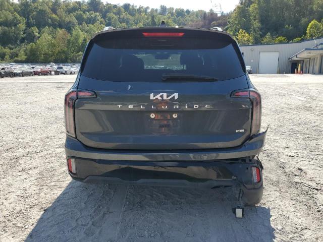 2024 KIA TELLURIDE EX - 5XYP3DGC5RG423452