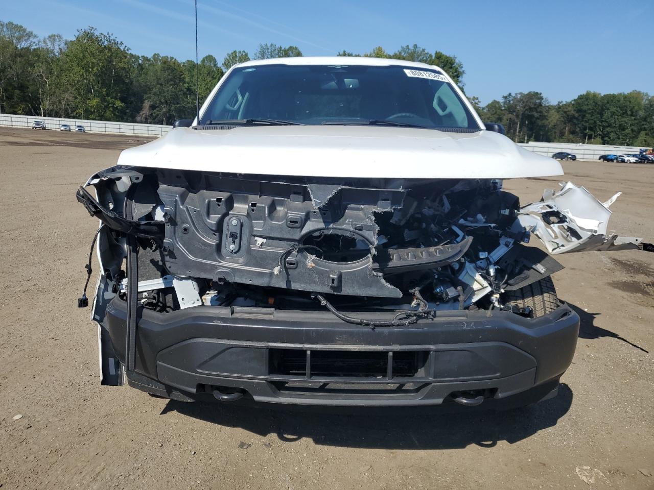 FORD F-150 LIGHTNING PRO