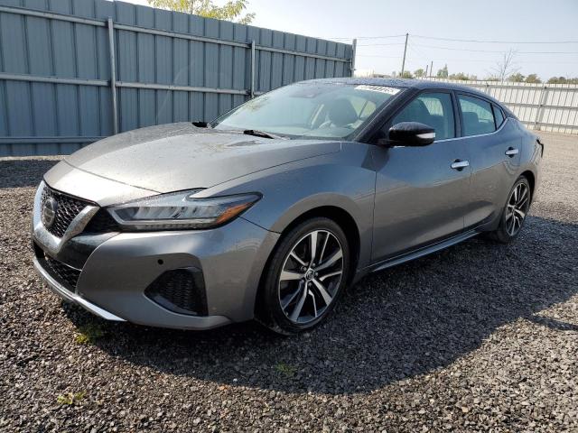 2022 NISSAN MAXIMA SL 1N4AA6DV0NC503288