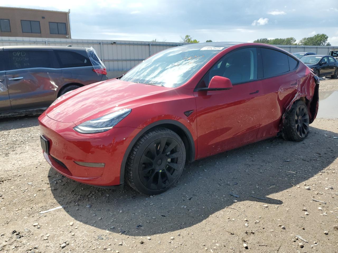 TESLA MODEL Y