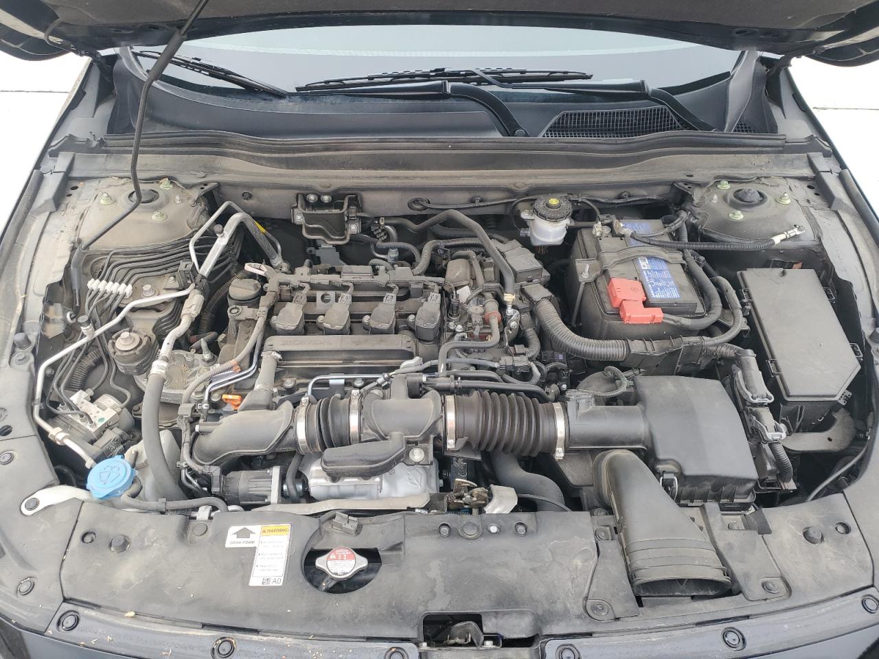 HONDA ACCORD SPORT SE