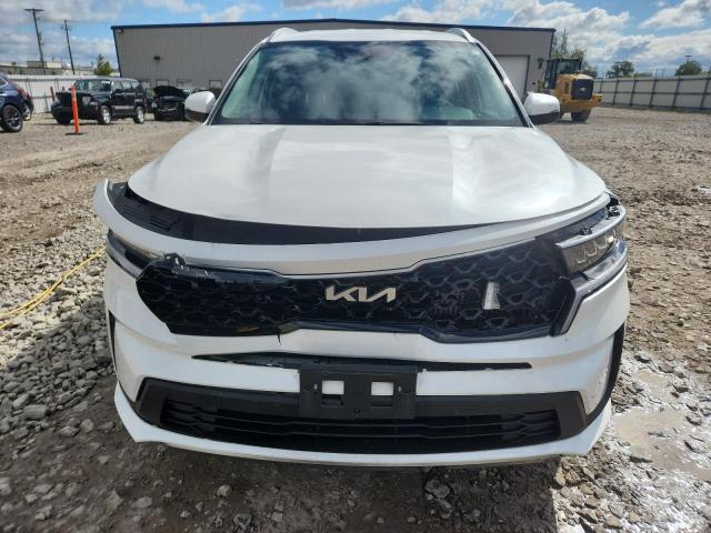 2022 KIA SORENTO S KNDRGDLG4N5081307