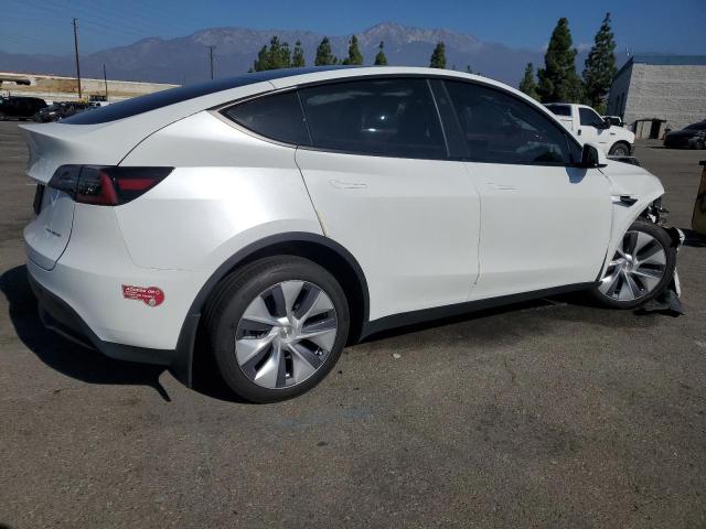 2024 TESLA MODEL Y #3284164574
