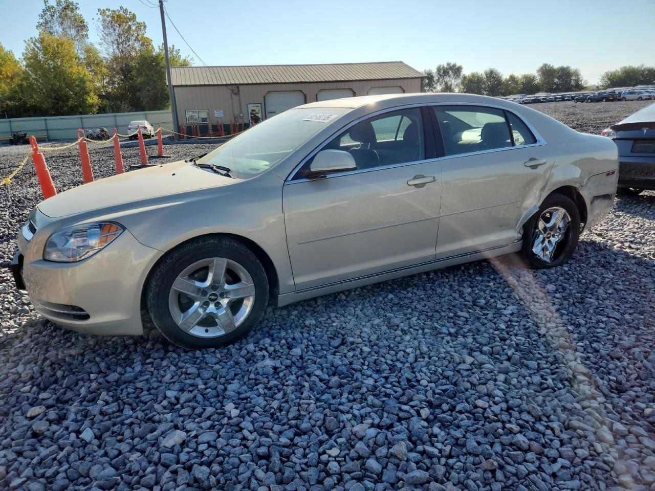 CHEVROLET MALIBU 1LT