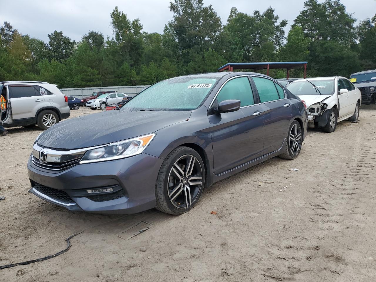 HONDA ACCORD SPORT