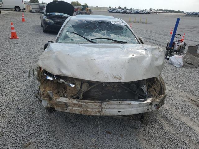 2019 TOYOTA CAMRY L - 4T1B11HK9KU221525