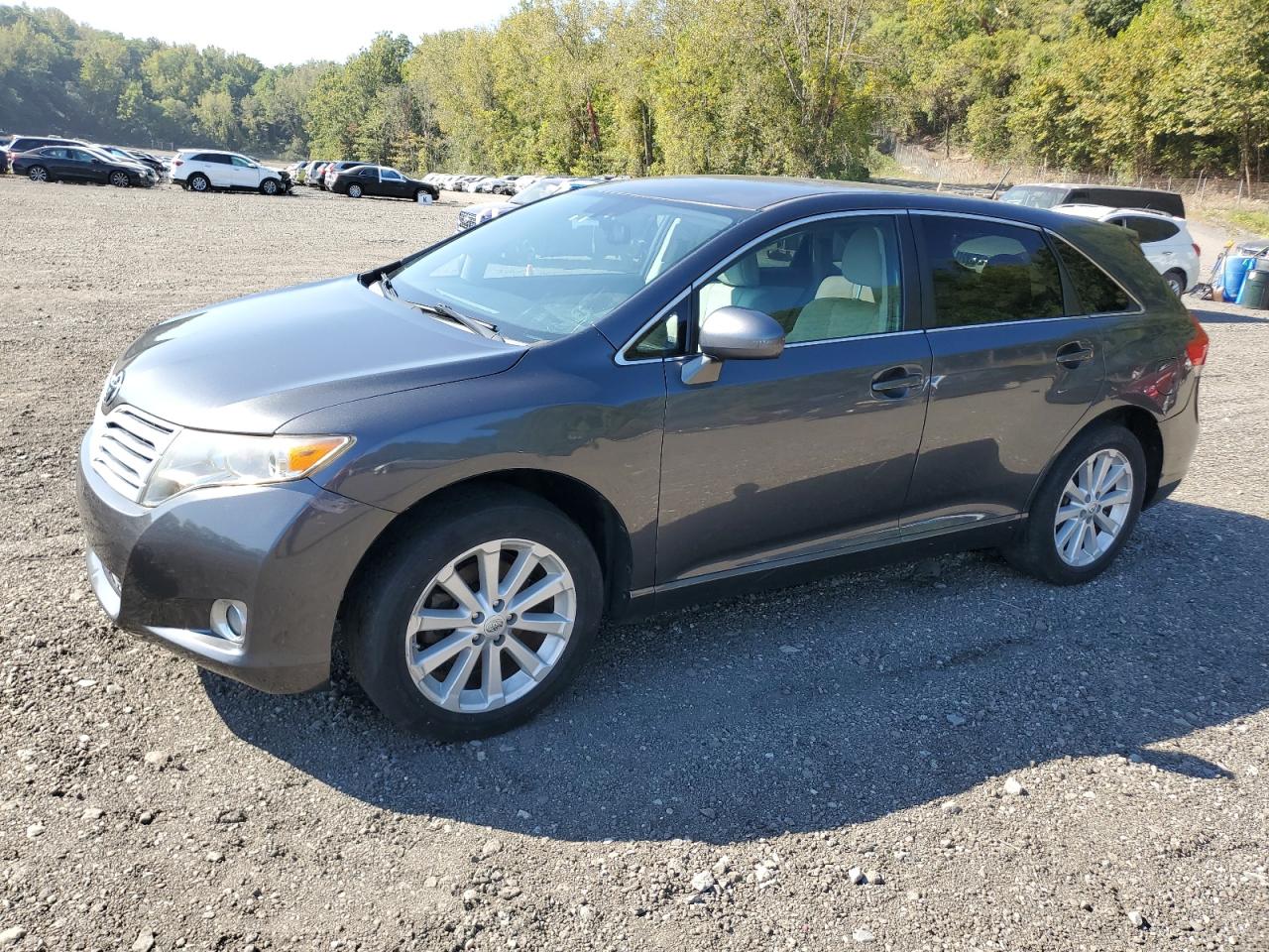 TOYOTA VENZA