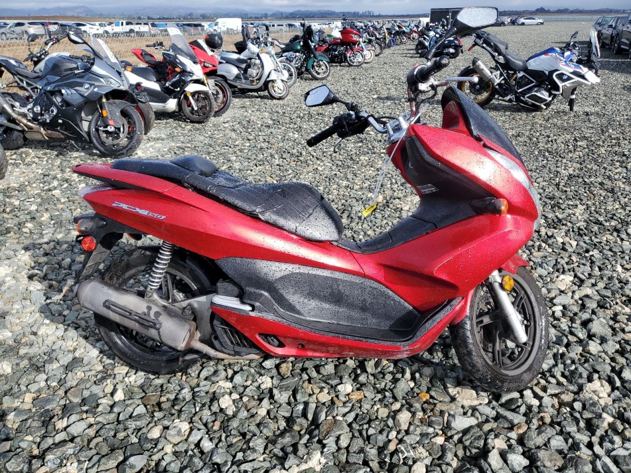  Salvage Honda Pcx
