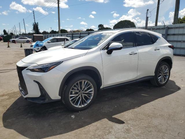 Global Auto Auctions: 2025 LEXUS NX 350H BASE