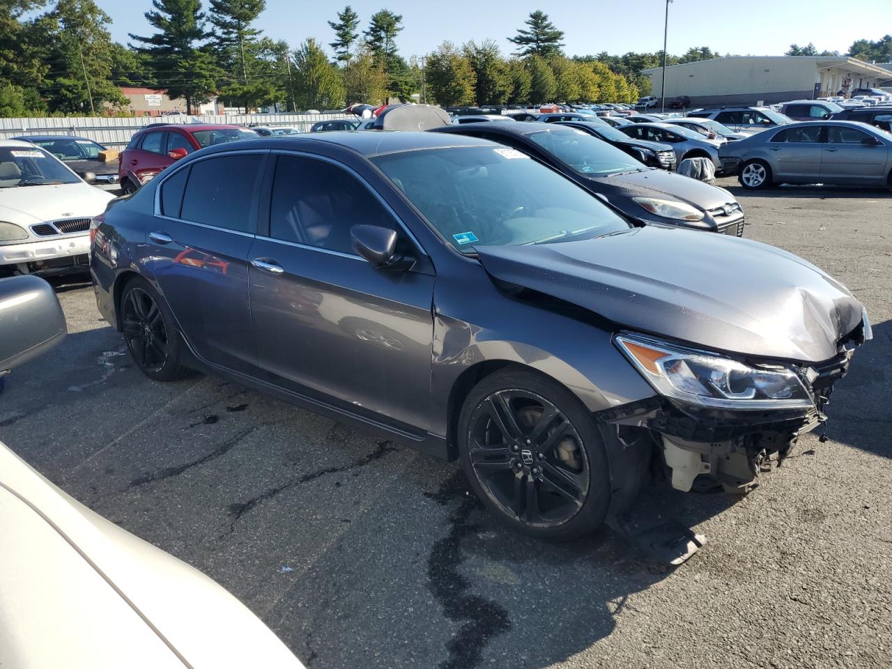 HONDA ACCORD SPORT SPECIAL EDITION