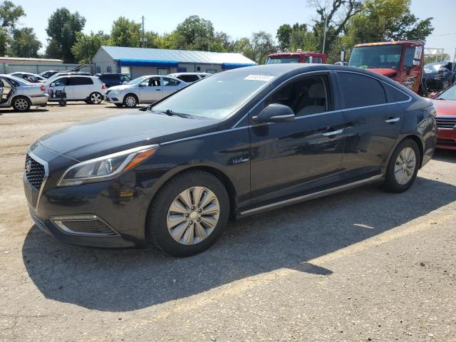 Global Auto Auctions: 2017 HYUNDAI SONATA HYB