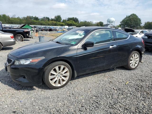 Global Auto Auctions: 2010 HONDA ACCORD EXL