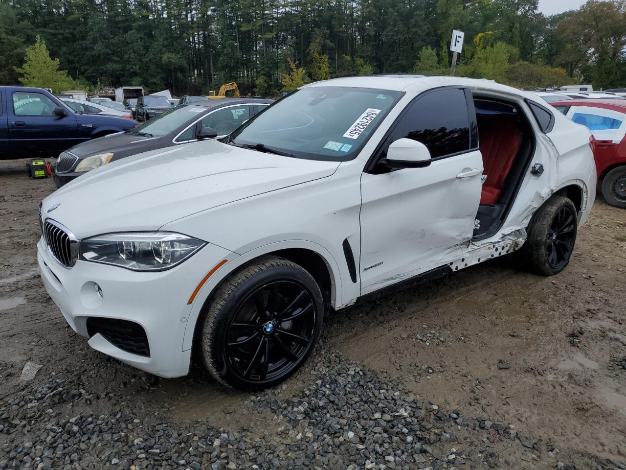 BMW X6 XDRIVE50I