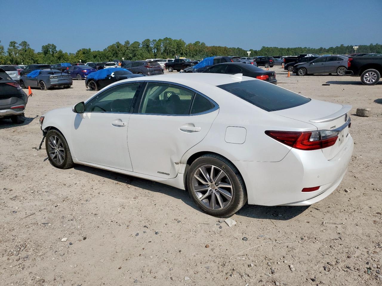 LEXUS ES 300H