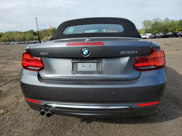 2020 BMW 230XI WBA2K1C07L7D93530