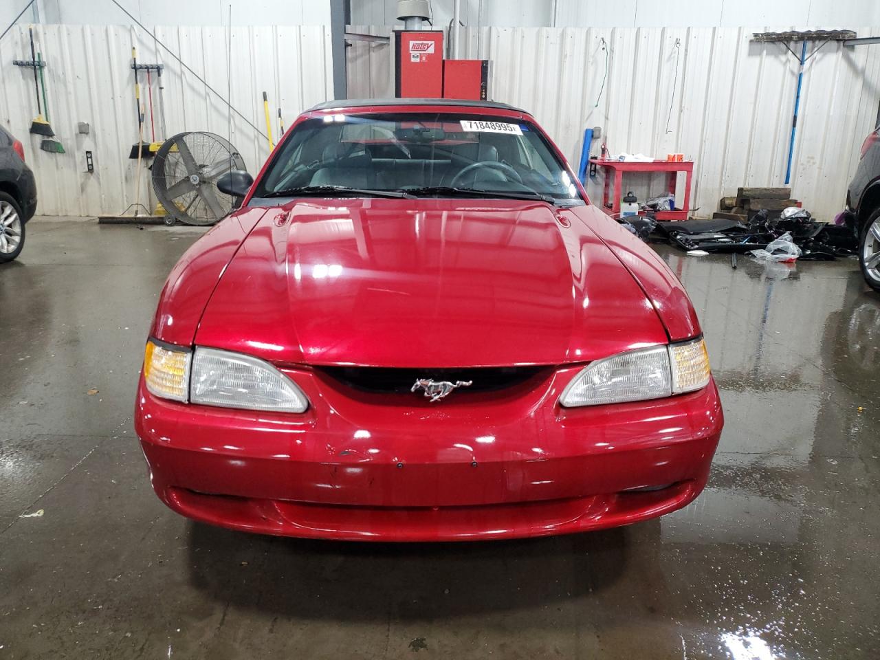 Lot #3273926790 1995 FORD MUSTANG GT