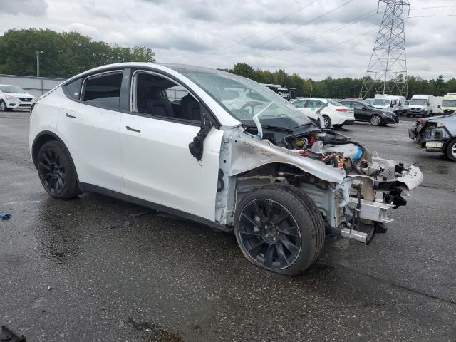 2022 TESLA MODEL Y 7SAYGAEE5NF383681