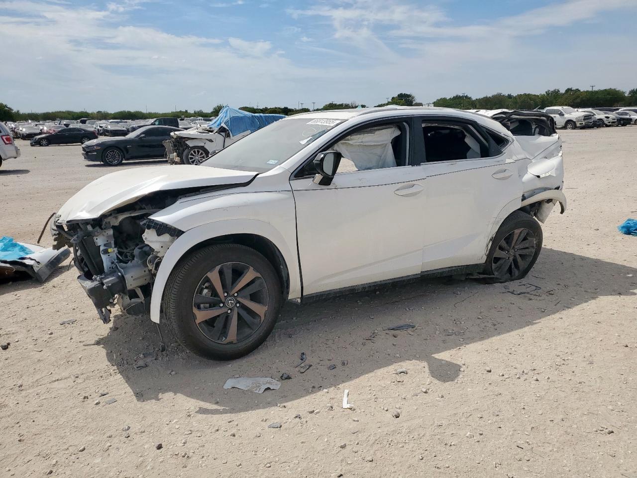 LEXUS NX 300