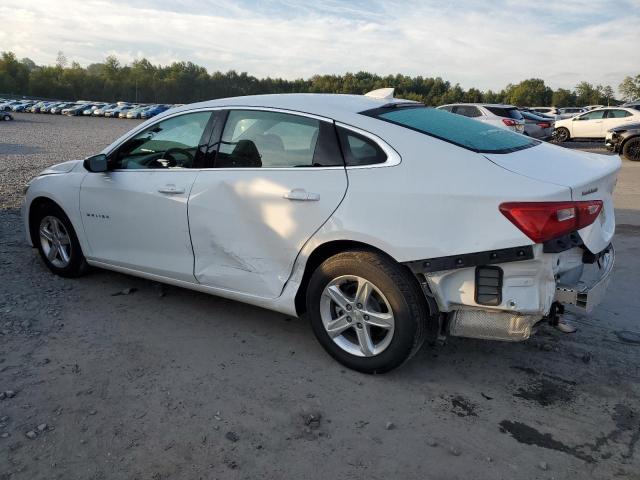 2024 CHEVROLET MALIBU LT - 1G1ZD5ST8RF206167