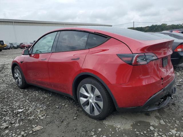 2021 TESLA MODEL Y 5YJYGDEE1MF196368