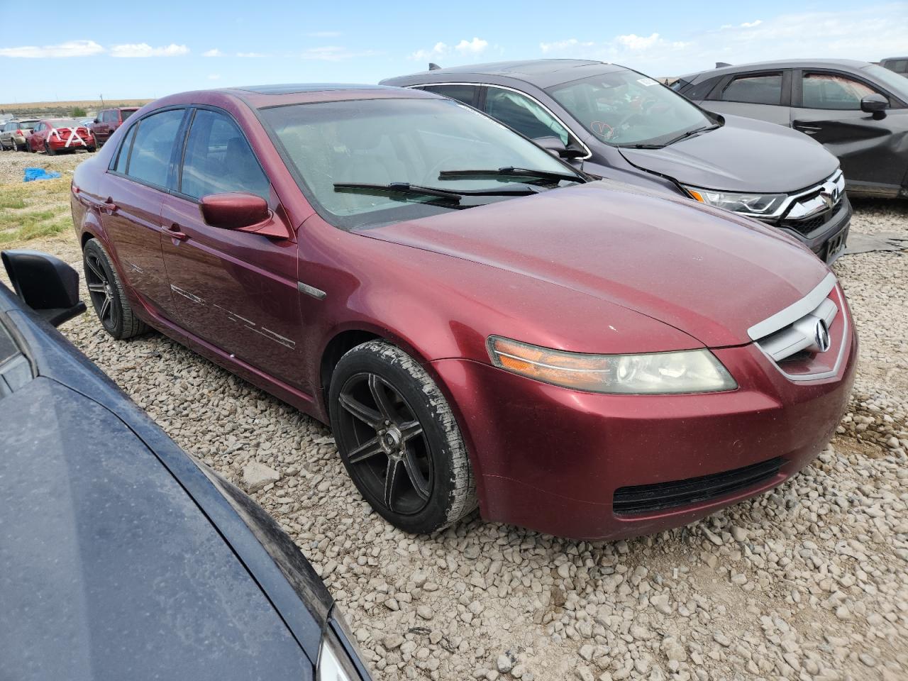Lot #3290483492 2004 ACURA TL