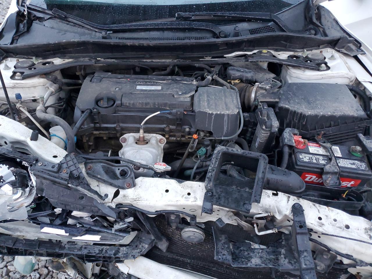 HONDA ACCORD SPORT SPECIAL EDITION