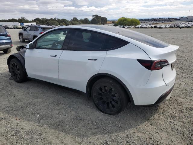 2023 TESLA MODEL Y 7SAYGAEEXPF894323