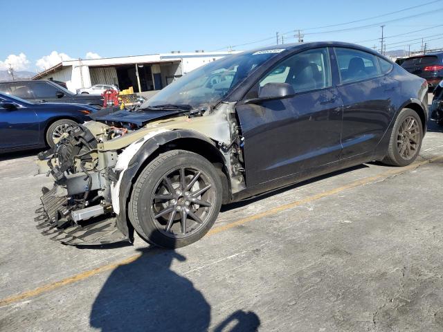 2024 TESLA MODEL 3 #3284209539