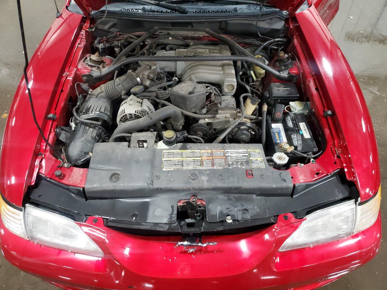 Lot #3273926790 1995 FORD MUSTANG GT