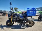 Lot #3306473201 2024 HONDA GROM 125