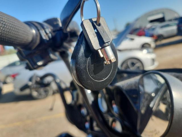 2009 HARLEY-DAVIDSON ELECTRA GL 1HD1FV4339Y601341