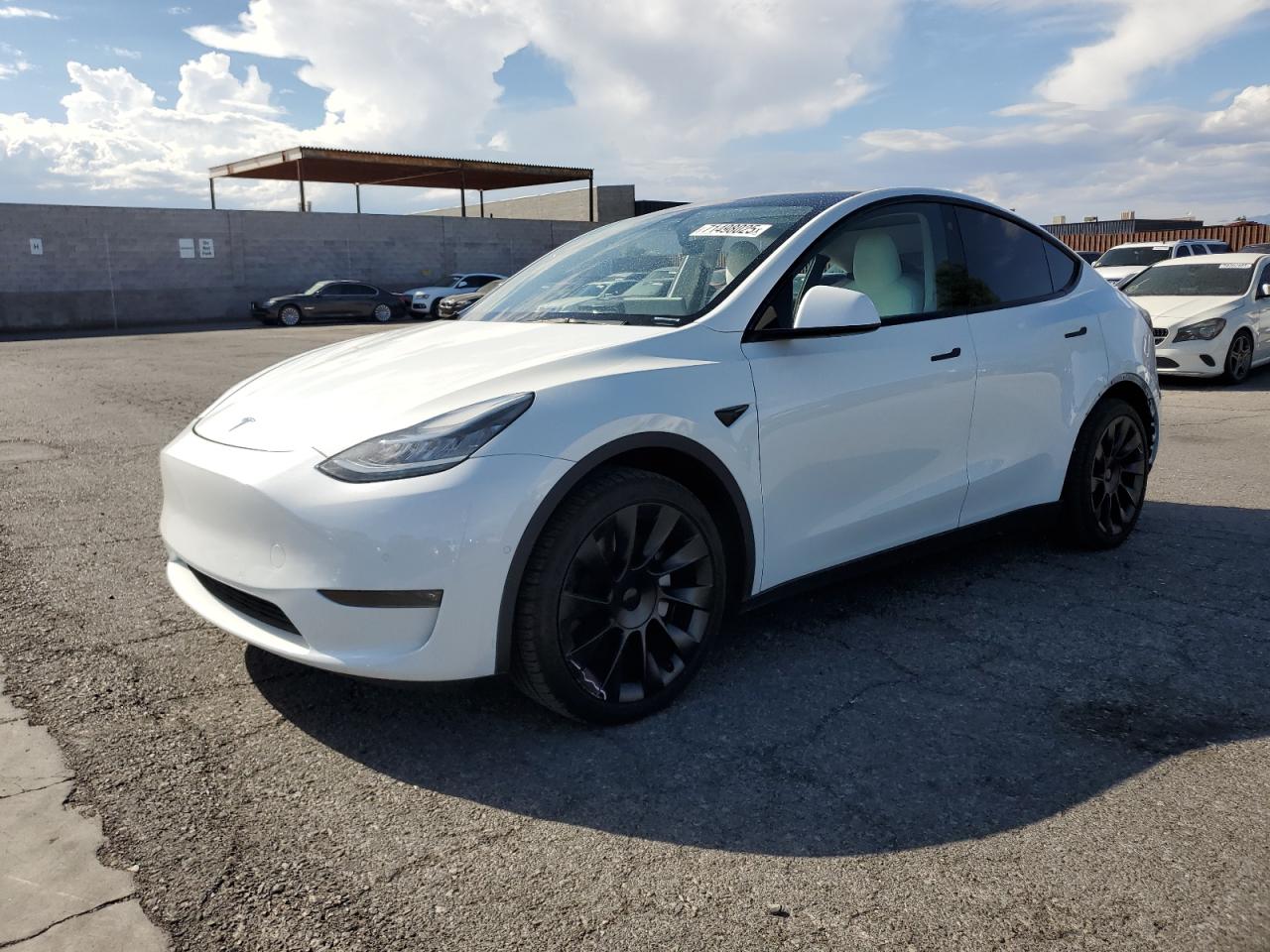 TESLA MODEL Y