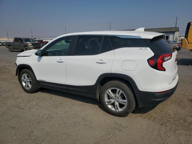 2024 GMC TERRAIN SL 3GKALMEG8RL376152