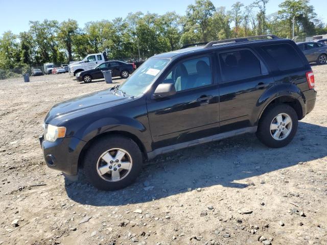 FORD ESCAPE XLT