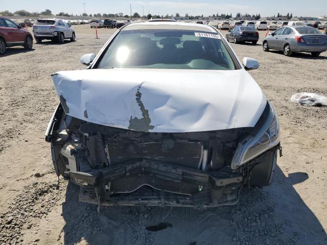 2016 HYUNDAI SONATA SPORT 5NPE34AF0GH333402