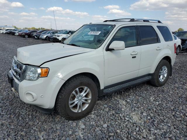 Global Auto Auctions: 2011 FORD ESCAPE LIM