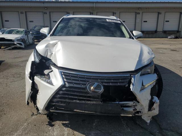2021 LEXUS NX 300 BASE JTJDARDZ9M5028509