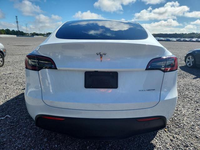 2024 TESLA MODEL Y - 7SAYGDEEXRA258499